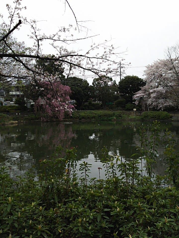 Myoshoji Park