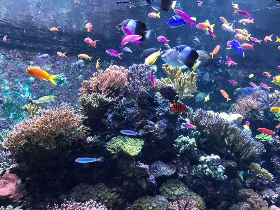 Maritime Experiential Museum Sentosa Island