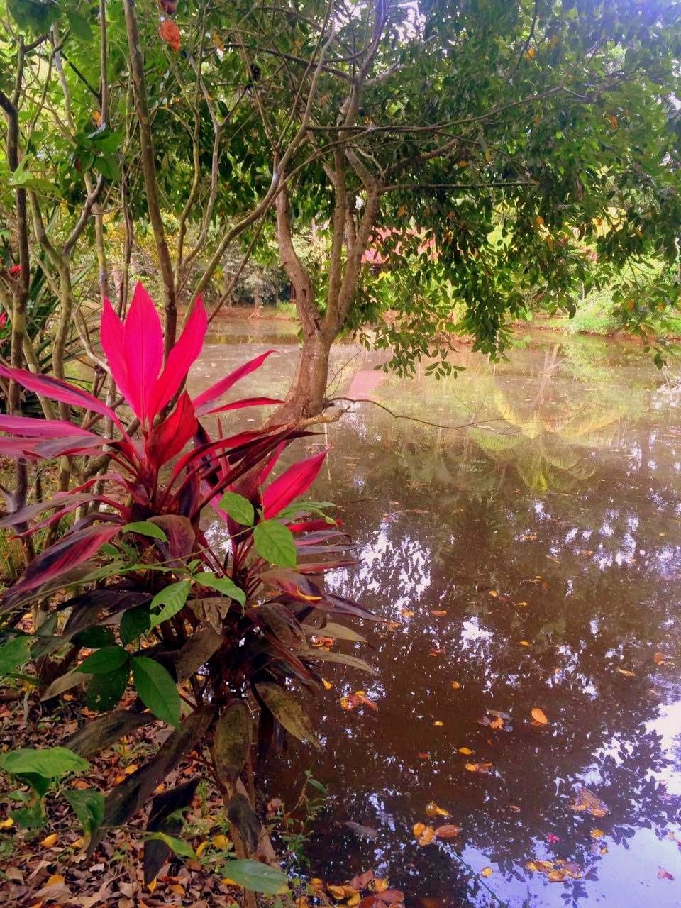 Flores en la entrada
