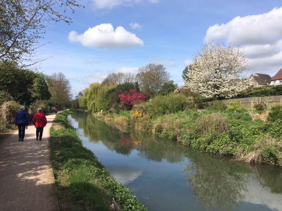 Part of canal walk nearing the Stroudwater end.