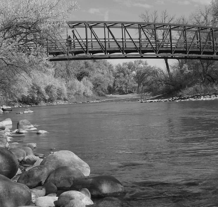 Berg Park Farmington