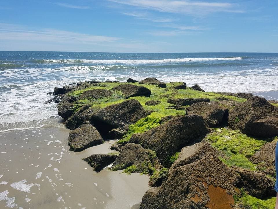 Pawley's Island