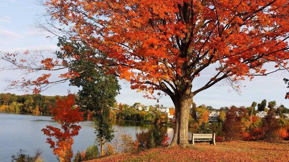 Massasoit Lake