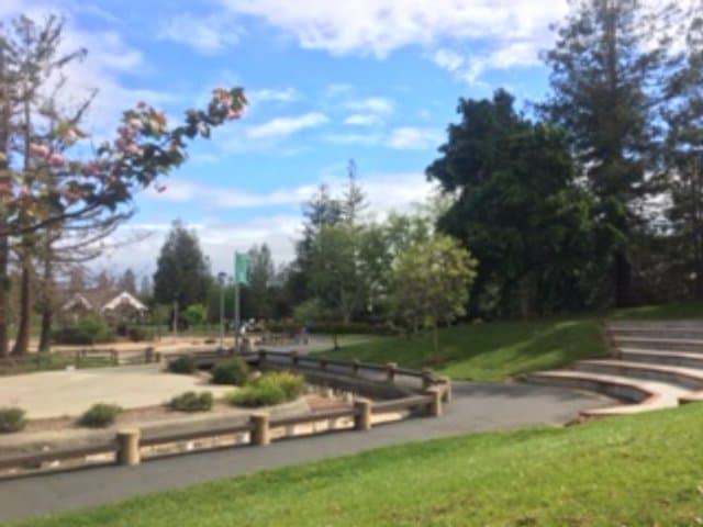 Outdoor Amphitheater (at Stevens Creek Blvd and Anton Way)