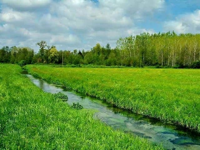 Paesaggio tipico del Parco Sud