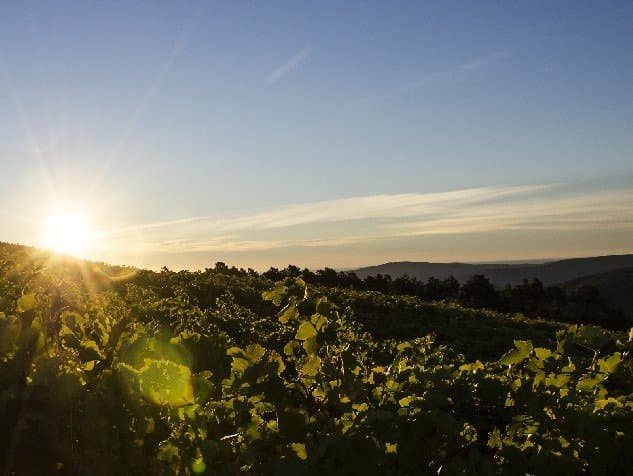 Le Clos Capelune