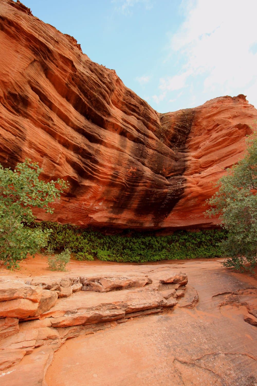 The gardens at the end of the trail