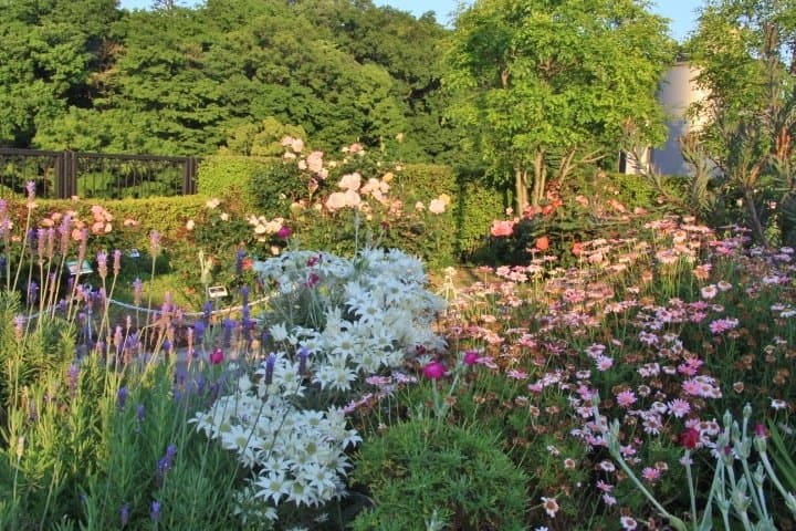 アメリカ山公園
