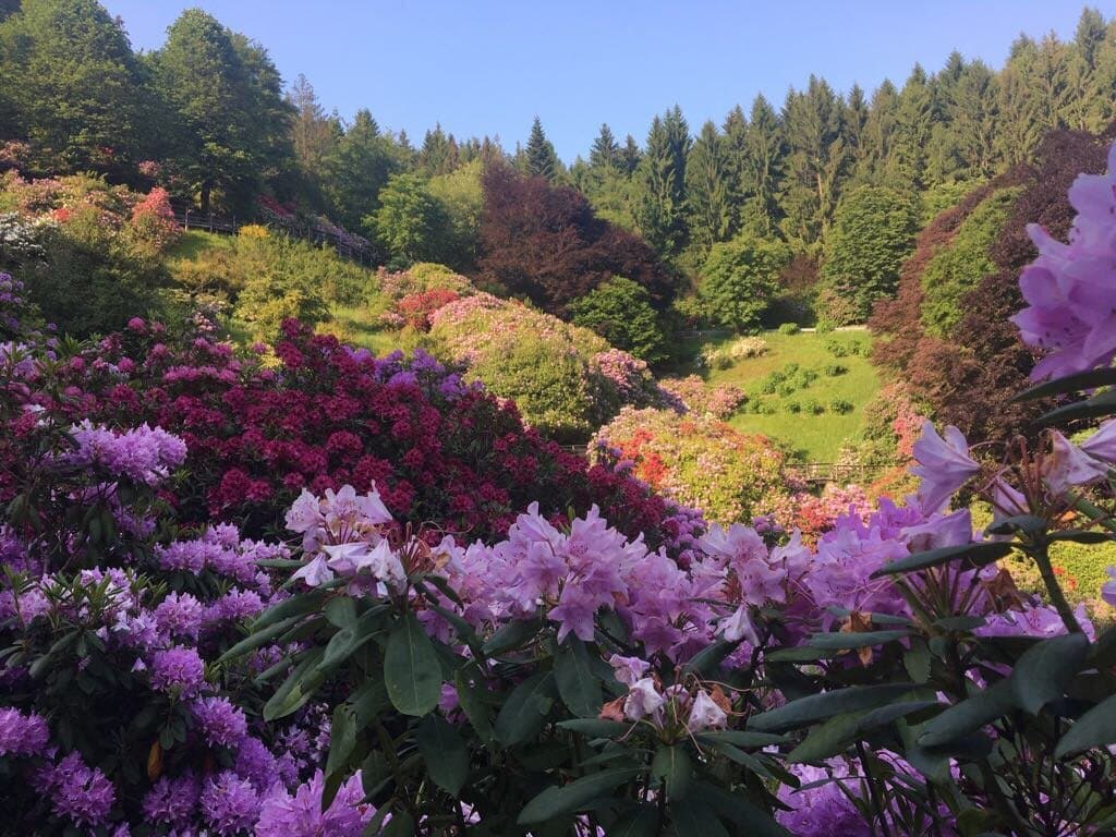 Conca dei Rododendri
