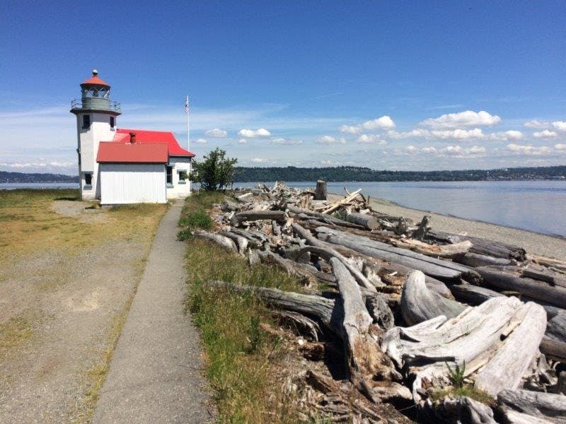 Lighthouse and Driftwood