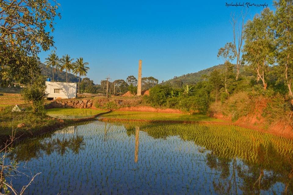 Yelagiri Punganoor Lake & Park