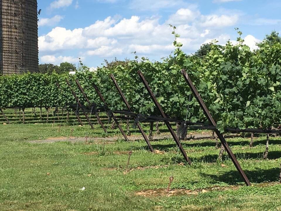 Doukénie Winery