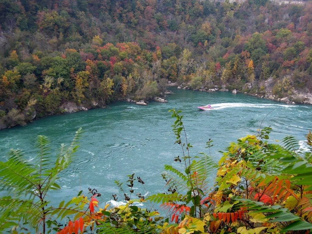 Fall view from top of trail, down into the rapids near Devil's Hole; jetboat tour en route.  