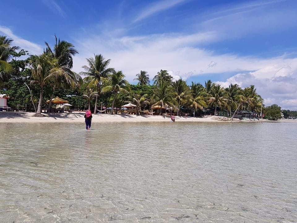 The Beach