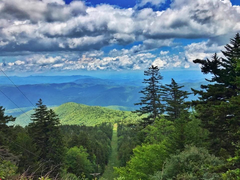 Mt Mitchell Trail Views