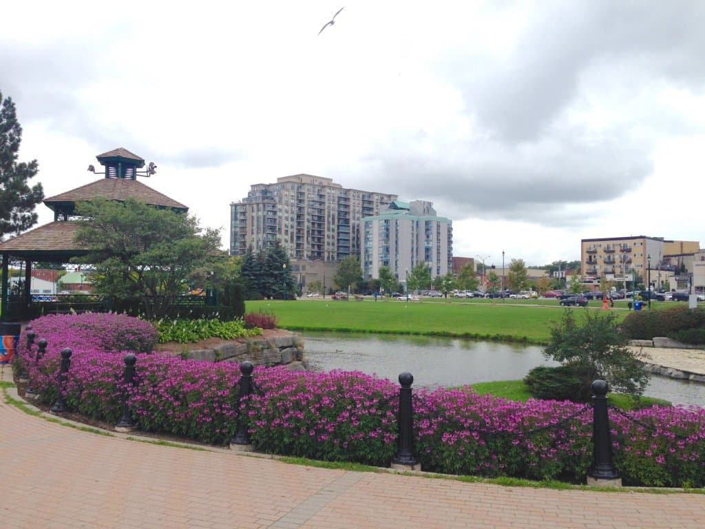 Gardener "hedging" his bets?