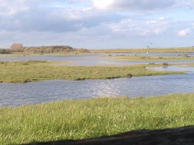 Réserve naturelle de Beauguillot