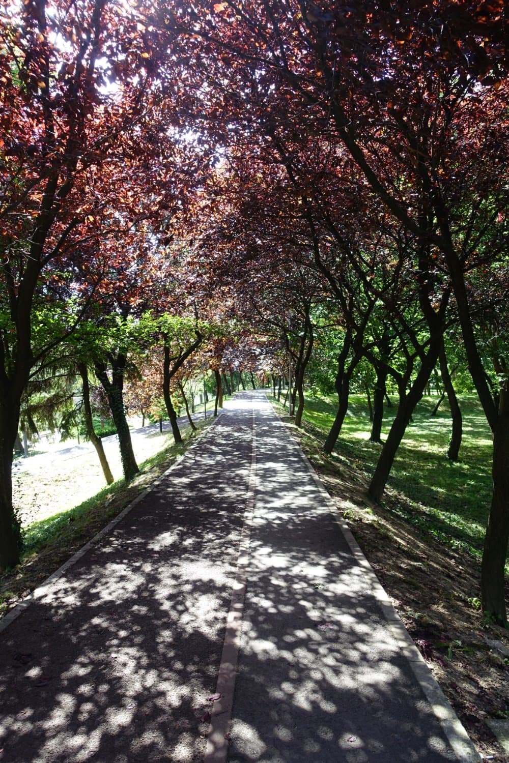 Cathedral Park