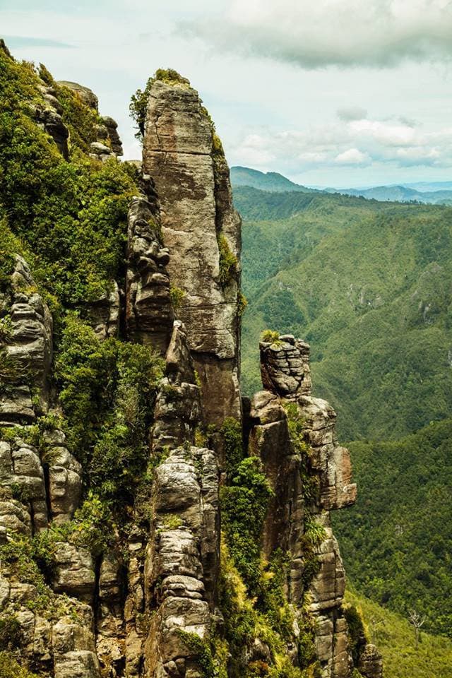 Die Pinnacles am Ende der Wanderung
