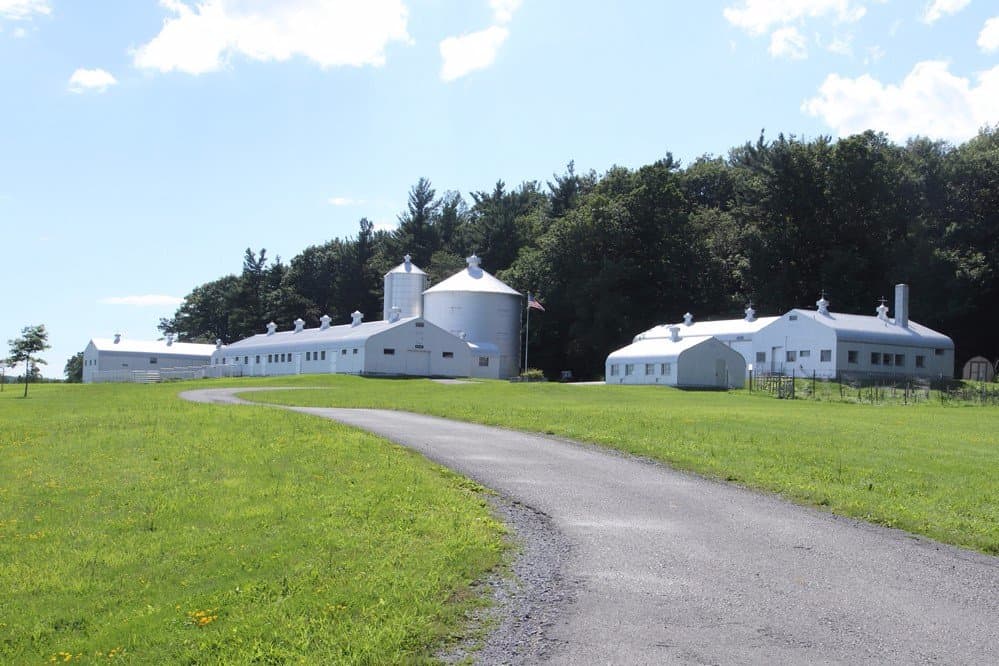 The  Zenda Farms Preserve
