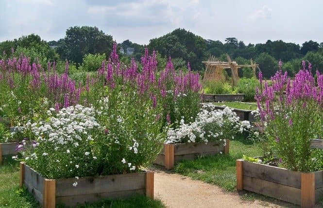 Parc de la Gloriette