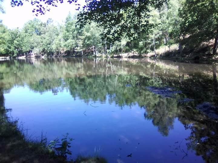 Le miroir aux fées...Exceptionnel!