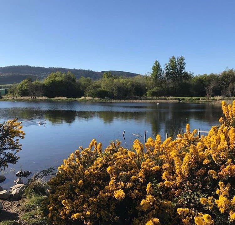 Lochore Meadows Country Park