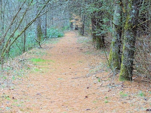 trail