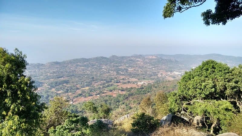 view from top