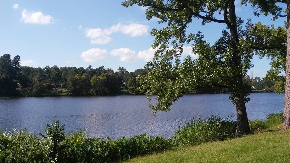 Lake Olmstead Park