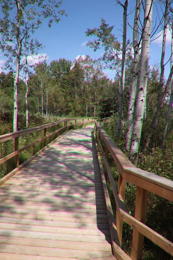 The boardwalk
