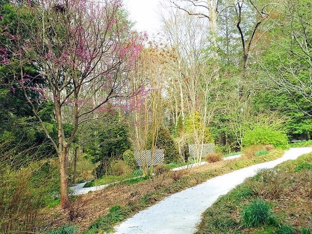 winding walking path