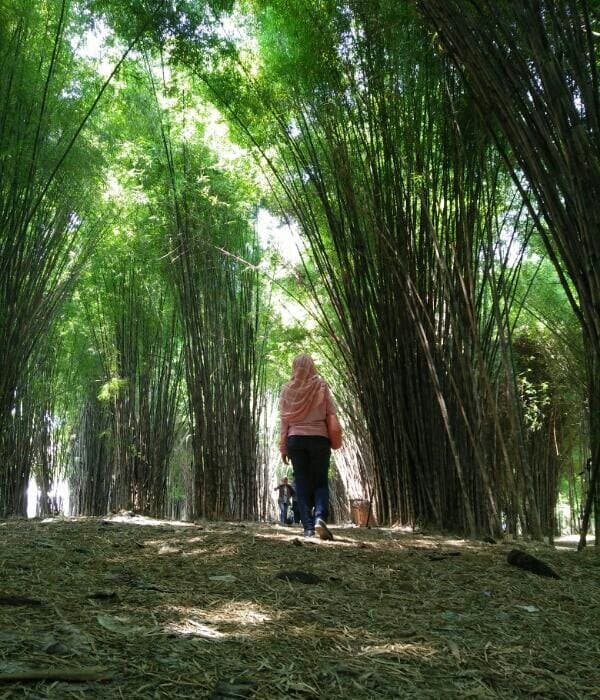 Harmoni Keputih Park