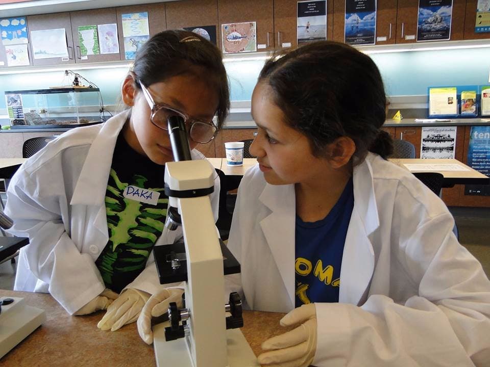 My kids looking at samples under the microscope