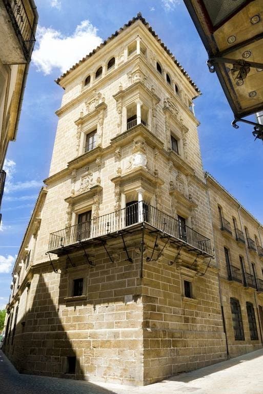 Palacio de los Condes de Guadiana