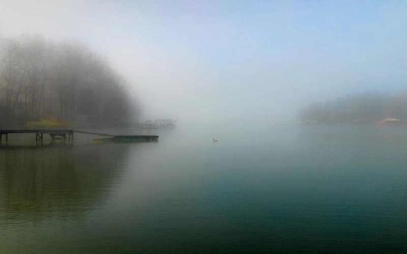 Dianne Sorrell photography