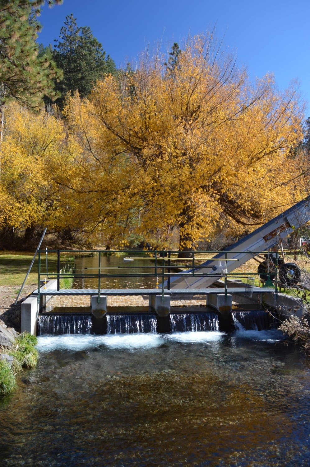 Mokelumne River Fish Hatchery
