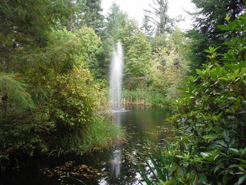 Kitty Coleman Woodland Gardens