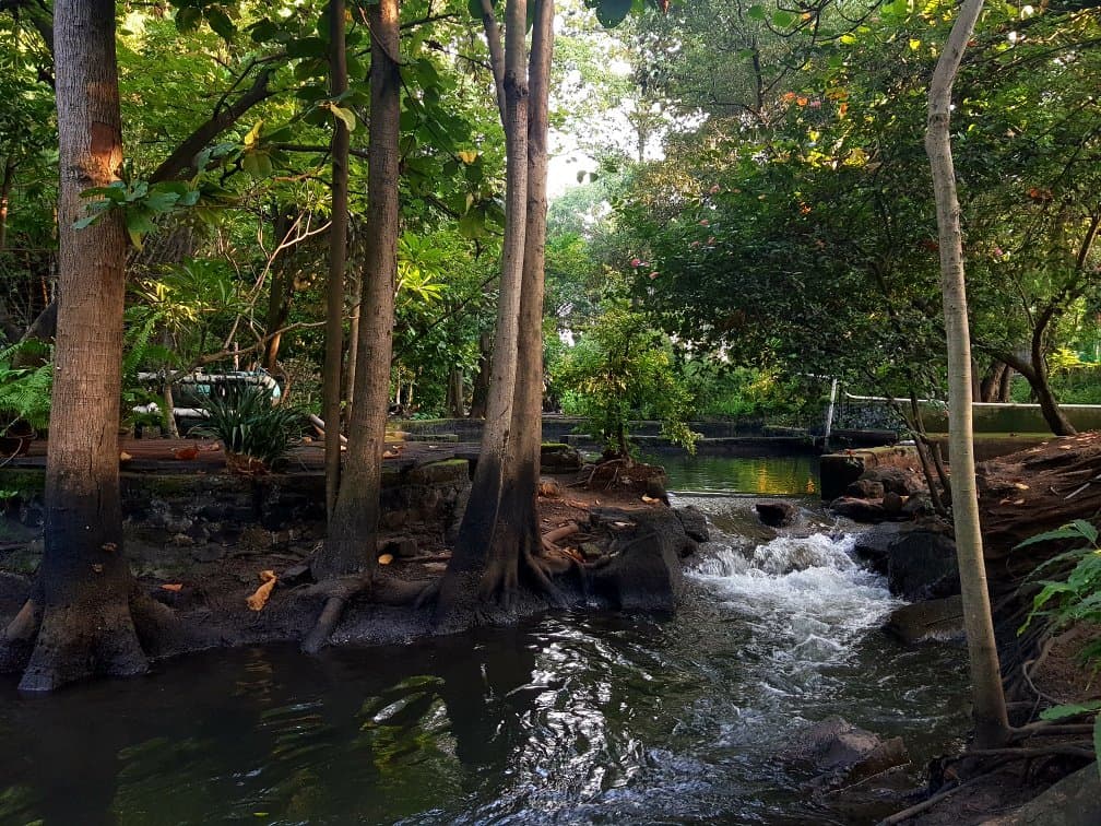 Osho Garden Koregaon Park Pune