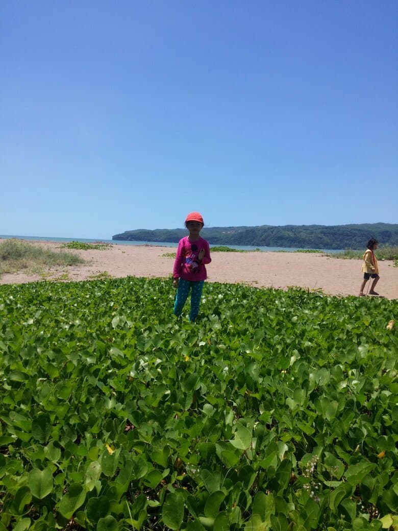 Pancer Door, Pacitan, East Java. ID. 🇮🇩
