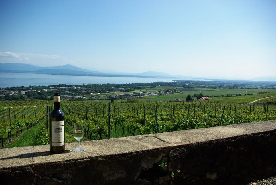 Domaine de Bellevue
