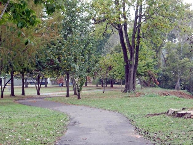 the park