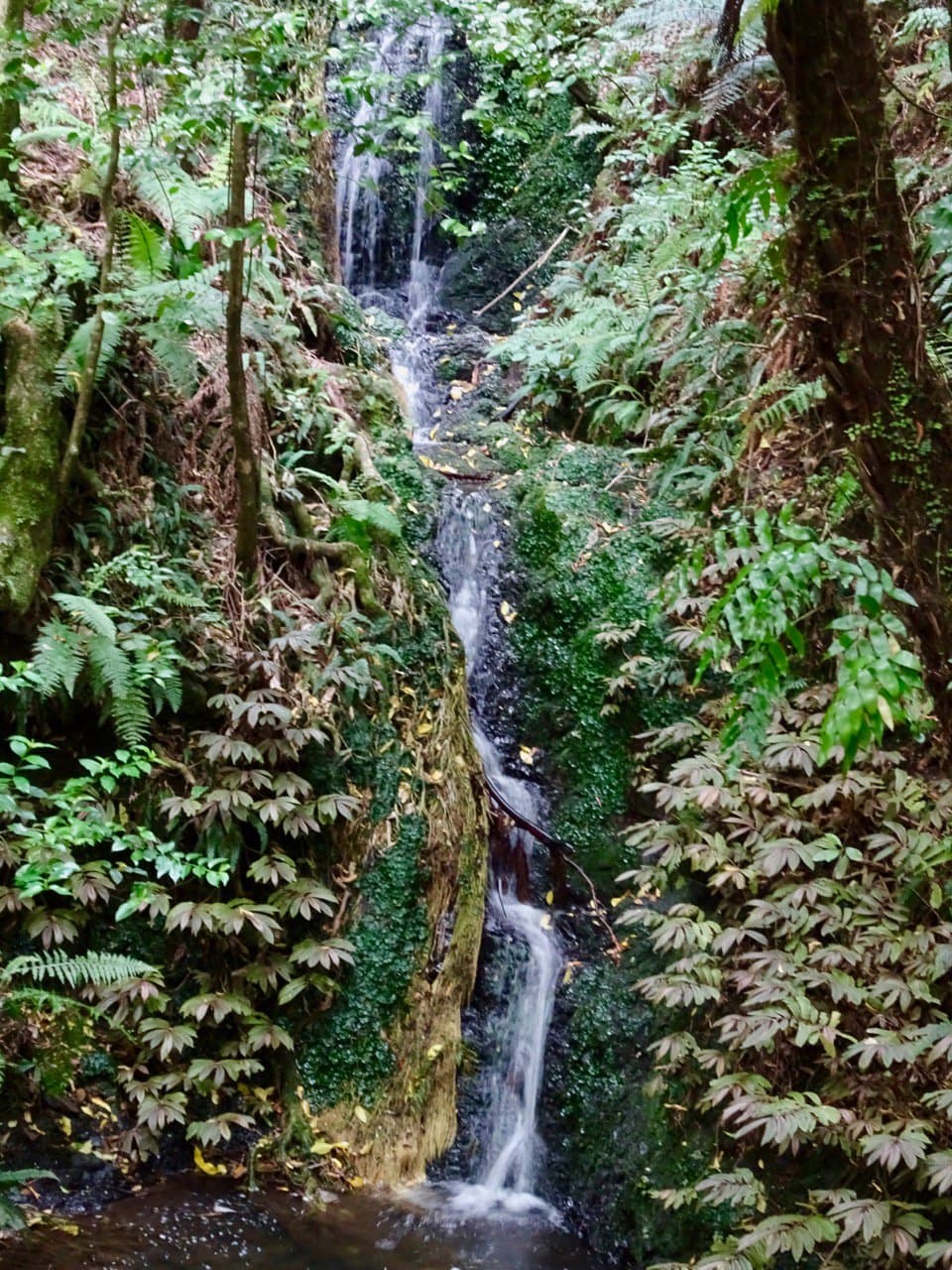 Waterfall below the Nature Trail, via steep descending trail