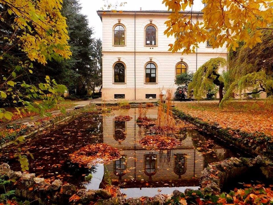 Riflessi autunnali   all'Orto Botanico 