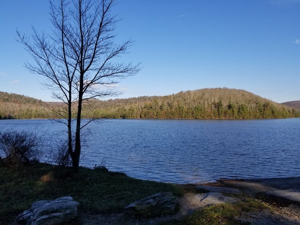 Michaux State Forest Pennsylvania