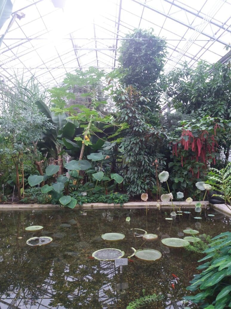 Botanical Garden