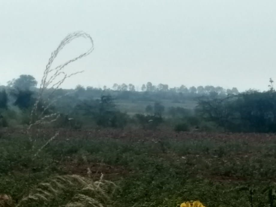 Ranebennur Blackbuck Sanctuary