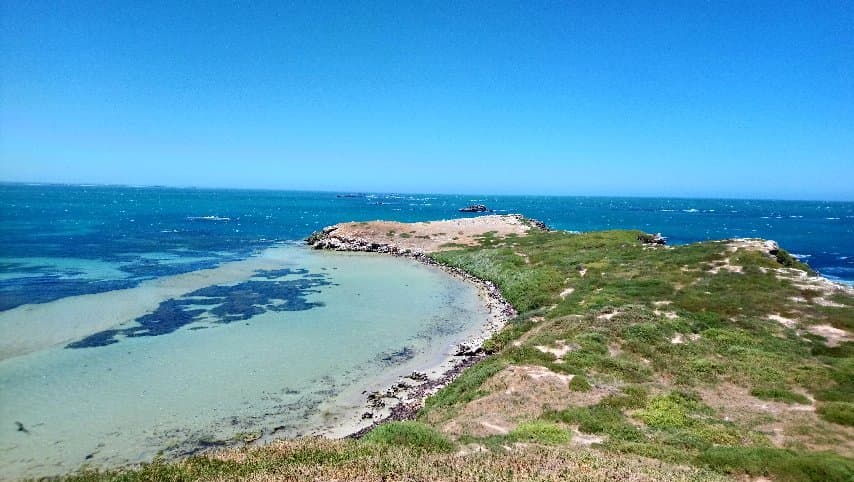 Penguin Island