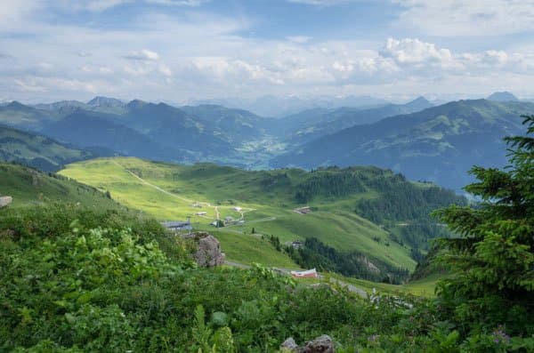view from the alpine flower garden