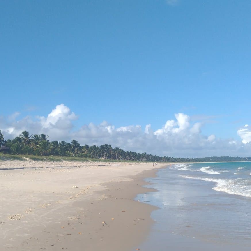 Ilha Antônio Dutra